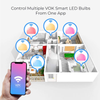 VOK Smart LED Bulb-Voklights-